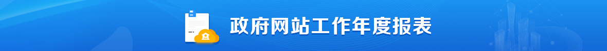 政府网站年度工作报表