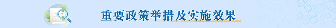 重要政策举措及实施效果