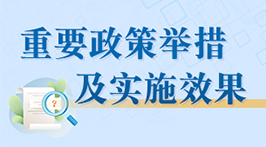 重要政策举措及实施效果